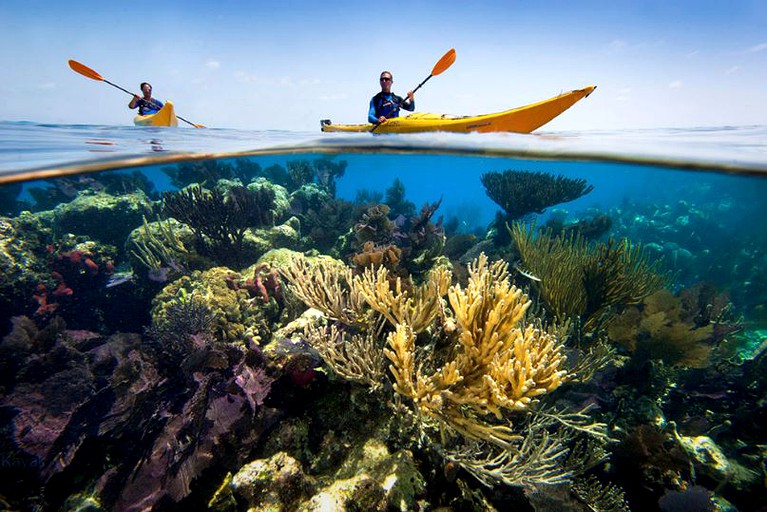 Tented Cabins (Glover's Reef Atoll, Stann Creek District, Belize)