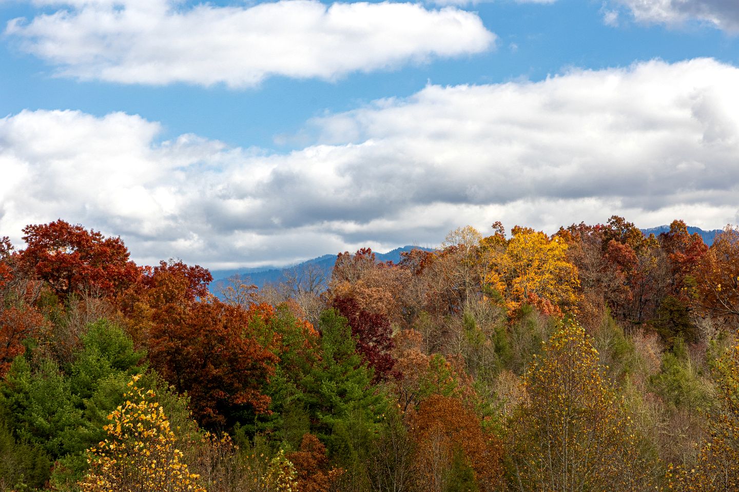 Spacious Luxury Log Cabin with Mountain Views, Hot Tub & Game Room near Gatlinburg & Pigeon Forge, Tennessee