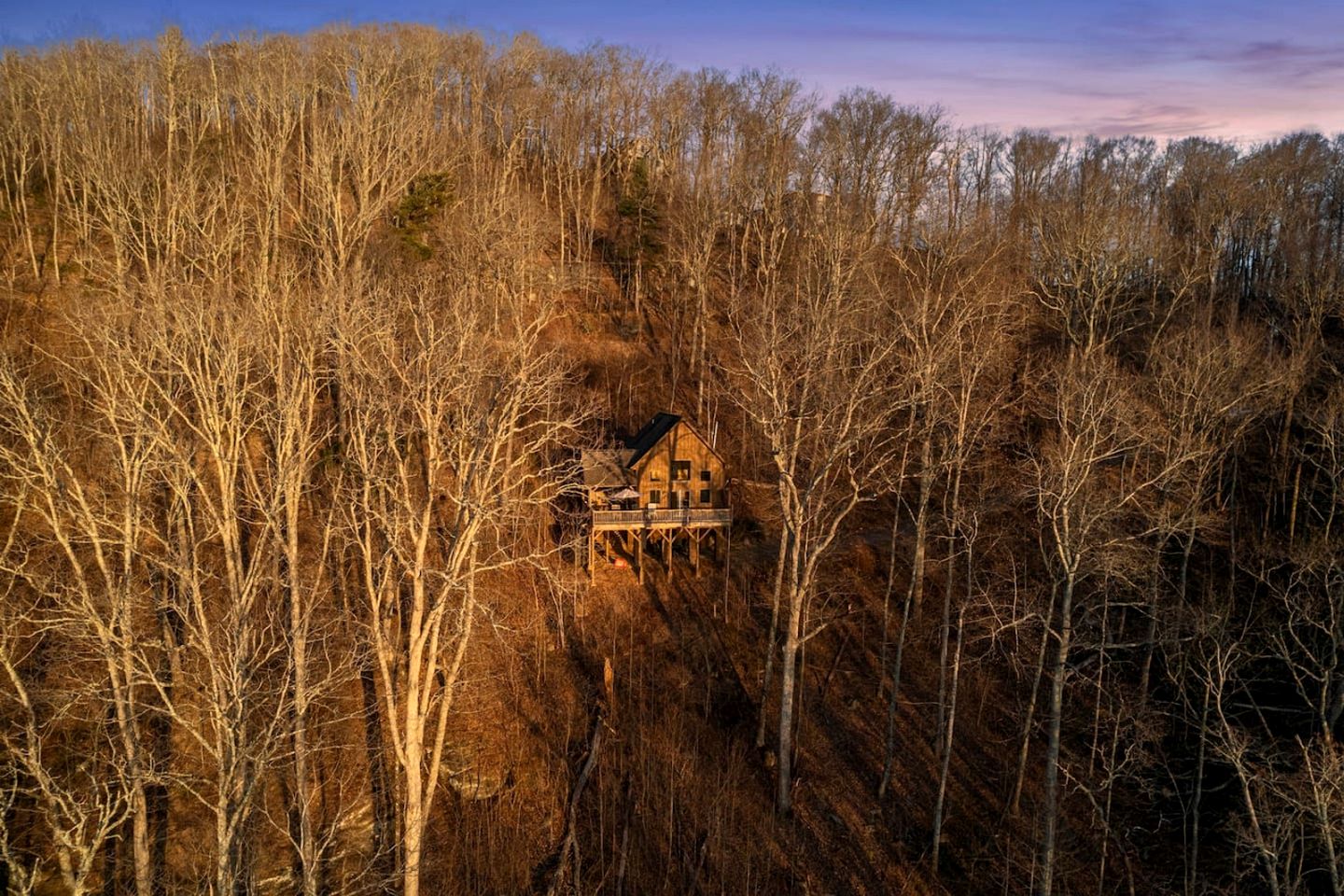 Outstanding Secluded Cabin Nestled Between Trees in Swannanoa, North Carolina