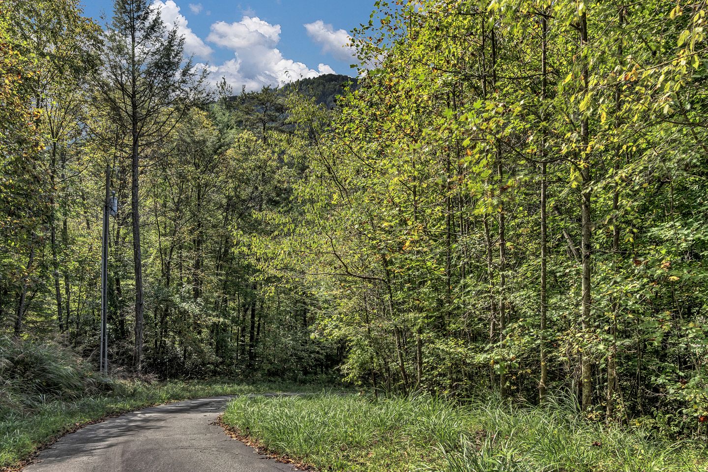 Spacious Mountain Retreat with Bonus Game Room Near Asheville, Barnardsville, NC