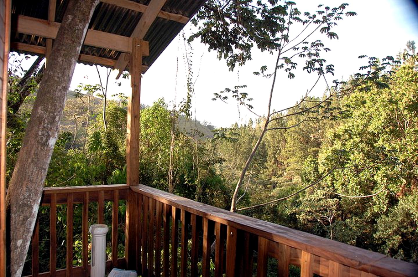 Forested Tree House on Permaculture Farm near Coyote Beach, Costa Rica