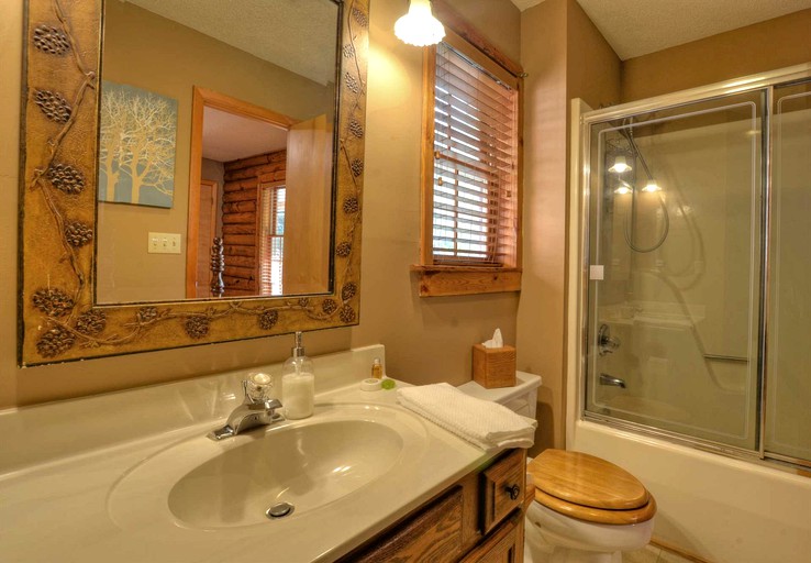 Cabins (United States of America, Whittier, North Carolina)