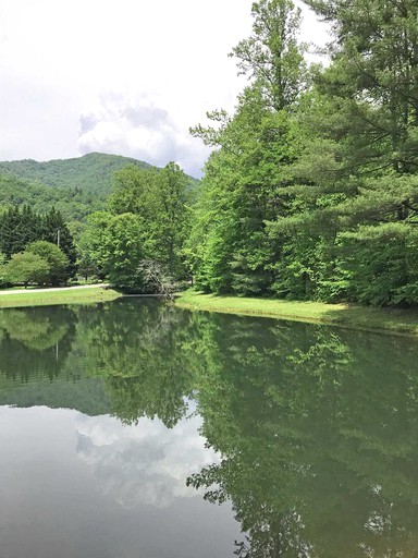 Cabins (United States of America, Whittier, North Carolina)