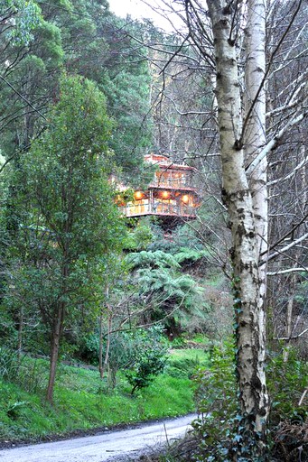 Tree houses (Kalorama, Victoria, Australia)