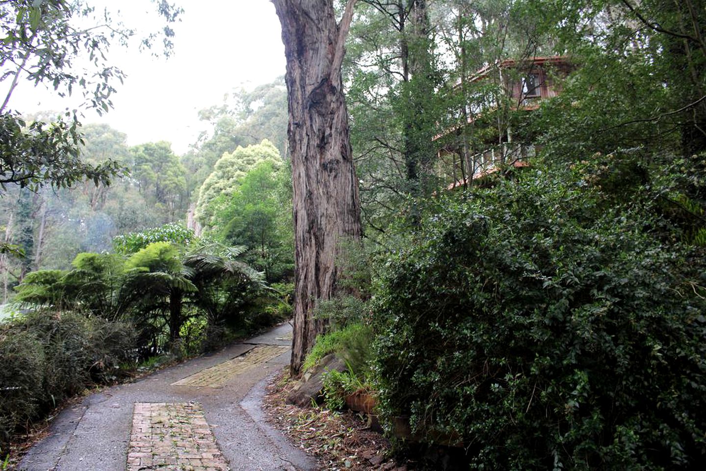 Gorgeous Octagonal Tree House Rental for a Unique Dandenong Ranges Accommodation near Melbourne