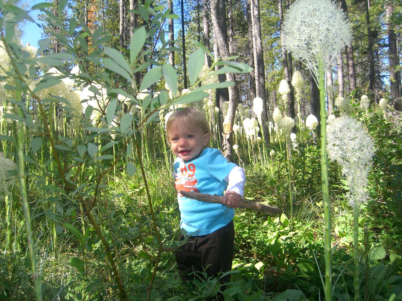 Group Vacation Rental for Family and Corporate Getaways near Glacier National Park, Montana