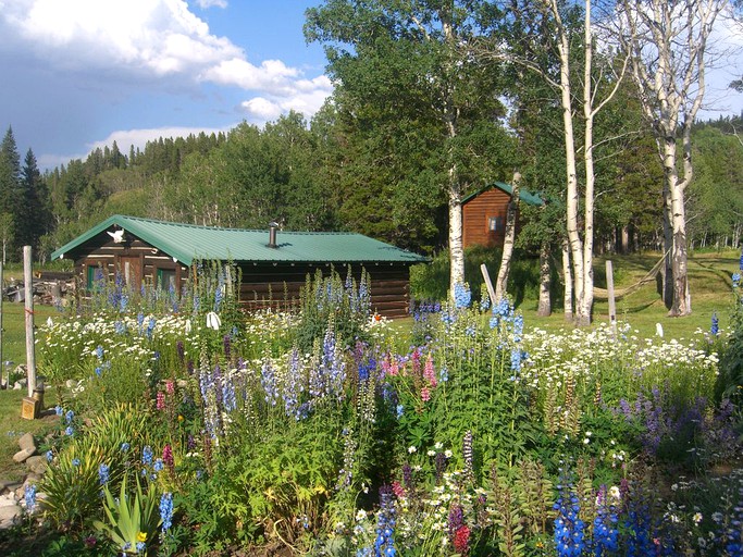 Barns (East Glacier Park, Montana, United States)