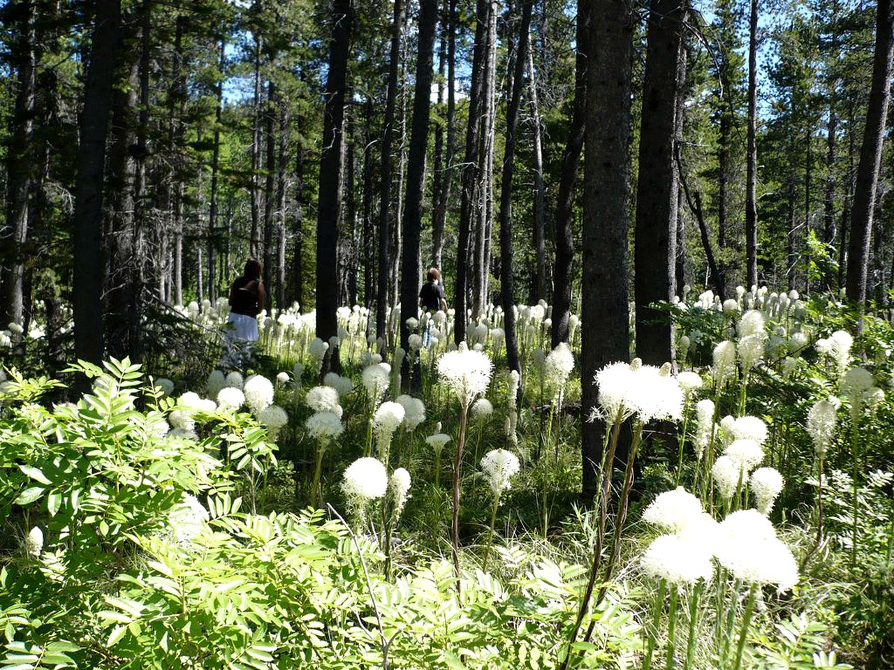 Group Vacation Rental for Family and Corporate Getaways near Glacier National Park, Montana