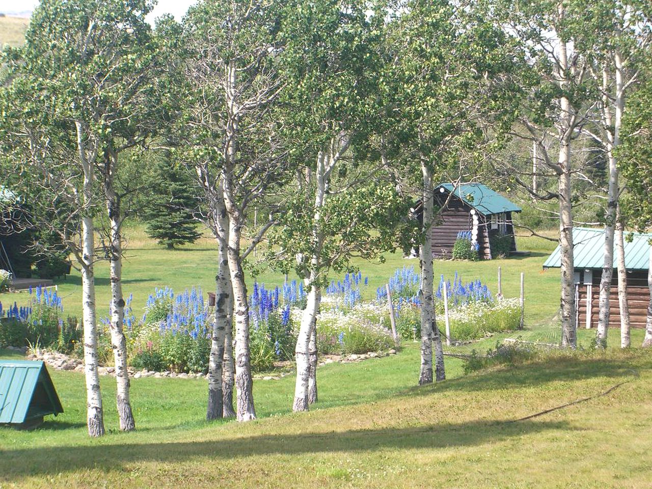 Group Vacation Rental for Family and Corporate Getaways near Glacier National Park, Montana