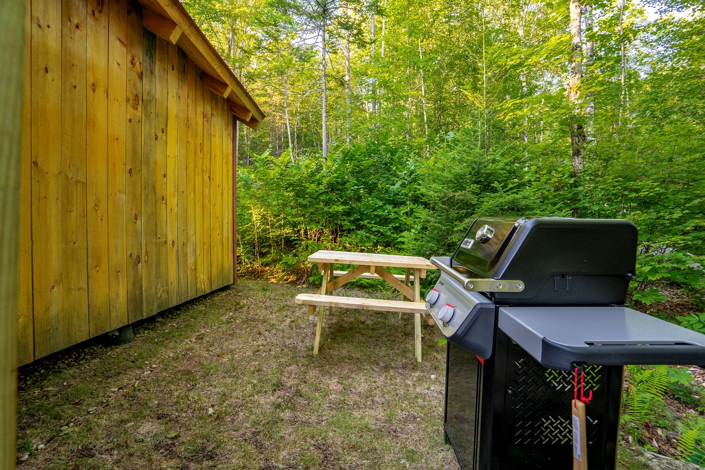 Private Nature Retreat – Quiet, Cozy, and Unplugged in Bethel, Maine
