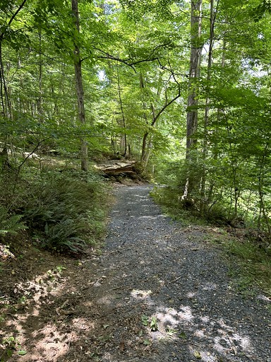 Vacation Rentals (United States of America, Maurertown, Virginia)