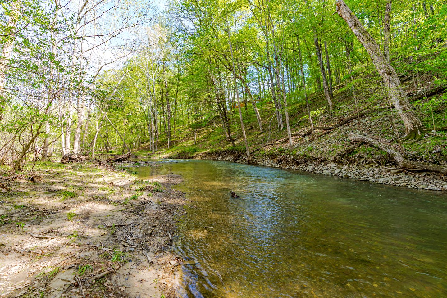 Cozy River Access Cabin with Hot Tub, Fire Pit and Deck Near Great Cacapon State Park in Bloomery, WV