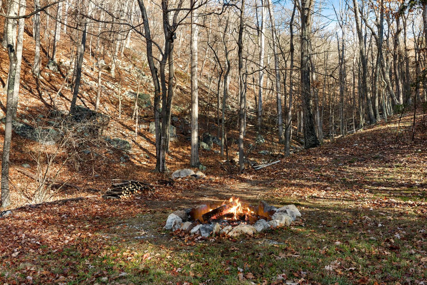 Peaceful and Pet Friendly Cabin with River Access in Great Cacapon, West Virginia