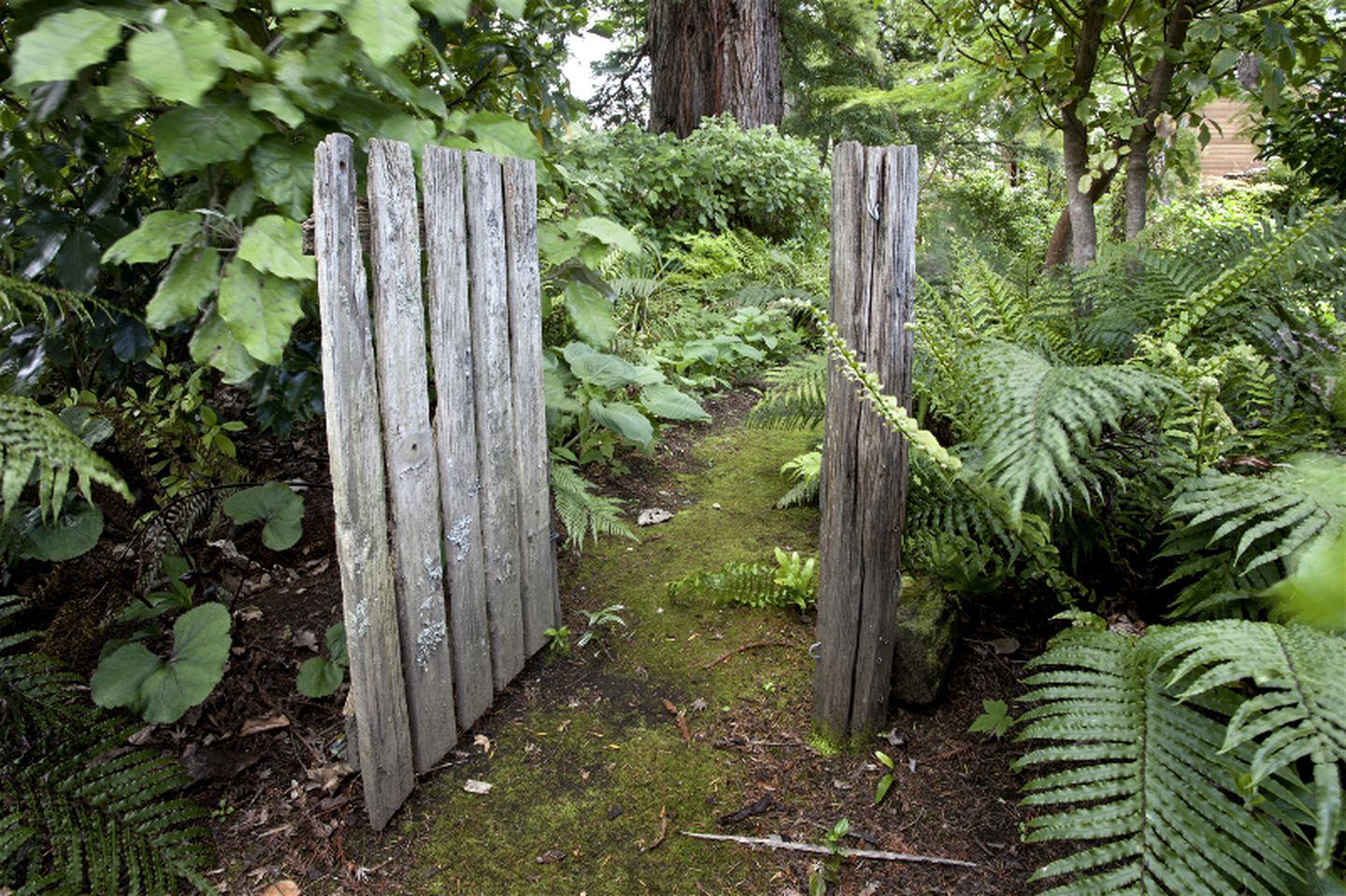 River Cottage Rental Perfect for a Turangi Vacation in New Zealand