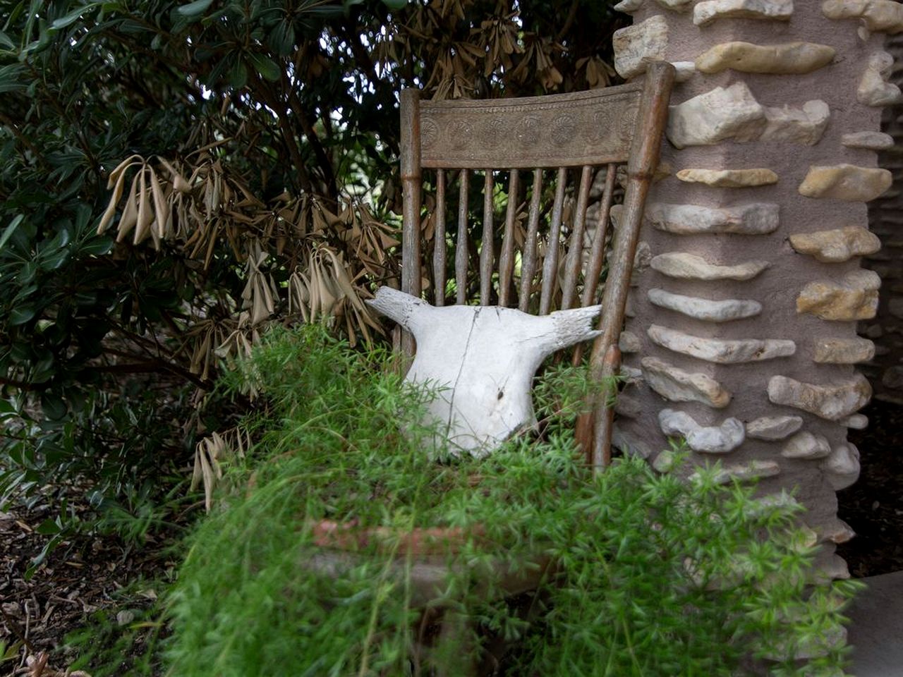 Lovely Cottage Rental with Waterfall on San Gabriel River near Austin, Texas