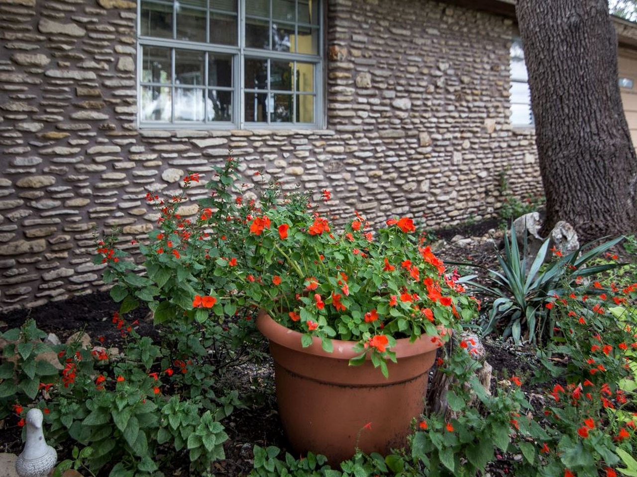 Lovely Cottage Rental with Waterfall on San Gabriel River near Austin, Texas