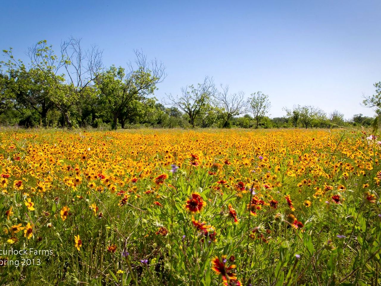 Lovely Cottage Rental with Waterfall on San Gabriel River near Austin, Texas