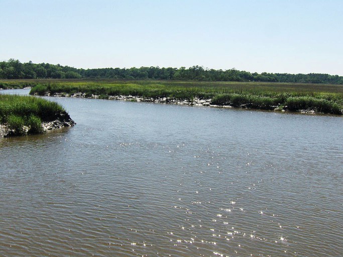 Cabins (Shellman Bluff, Georgia, United States)