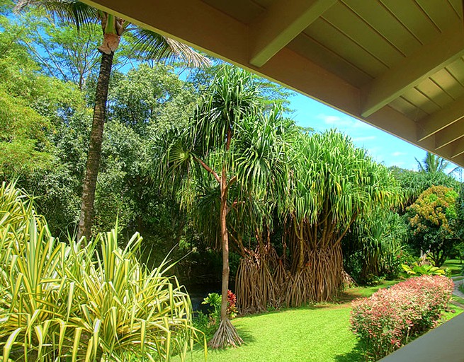 Cabins (Hanalei, Hawaii, United States)