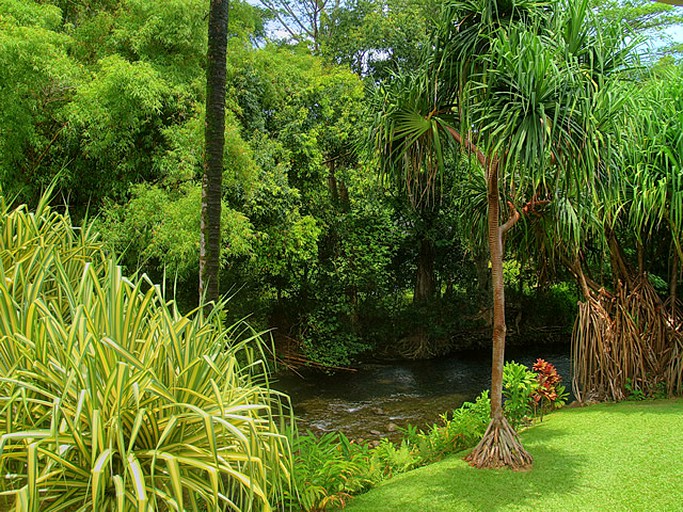 Cabins (Hanalei, Hawaii, United States)