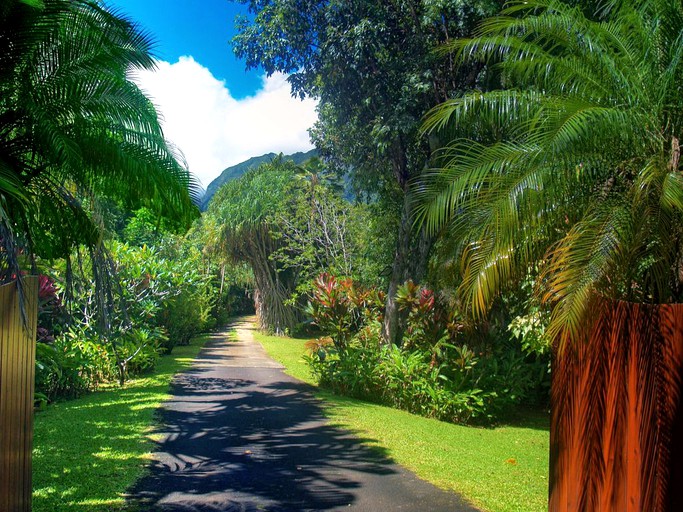 Cabins (Hanalei, Hawaii, United States)