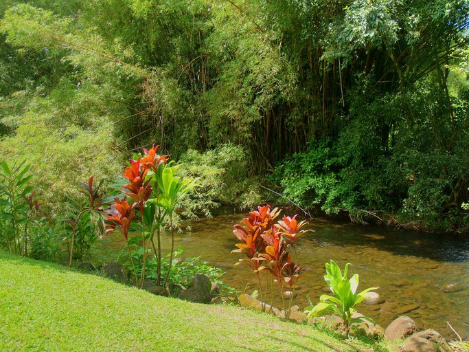 Cabins (Hanalei, Hawaii, United States)