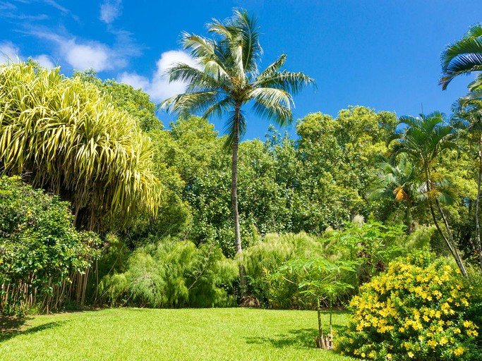 Cabins (Hanalei, Hawaii, United States)