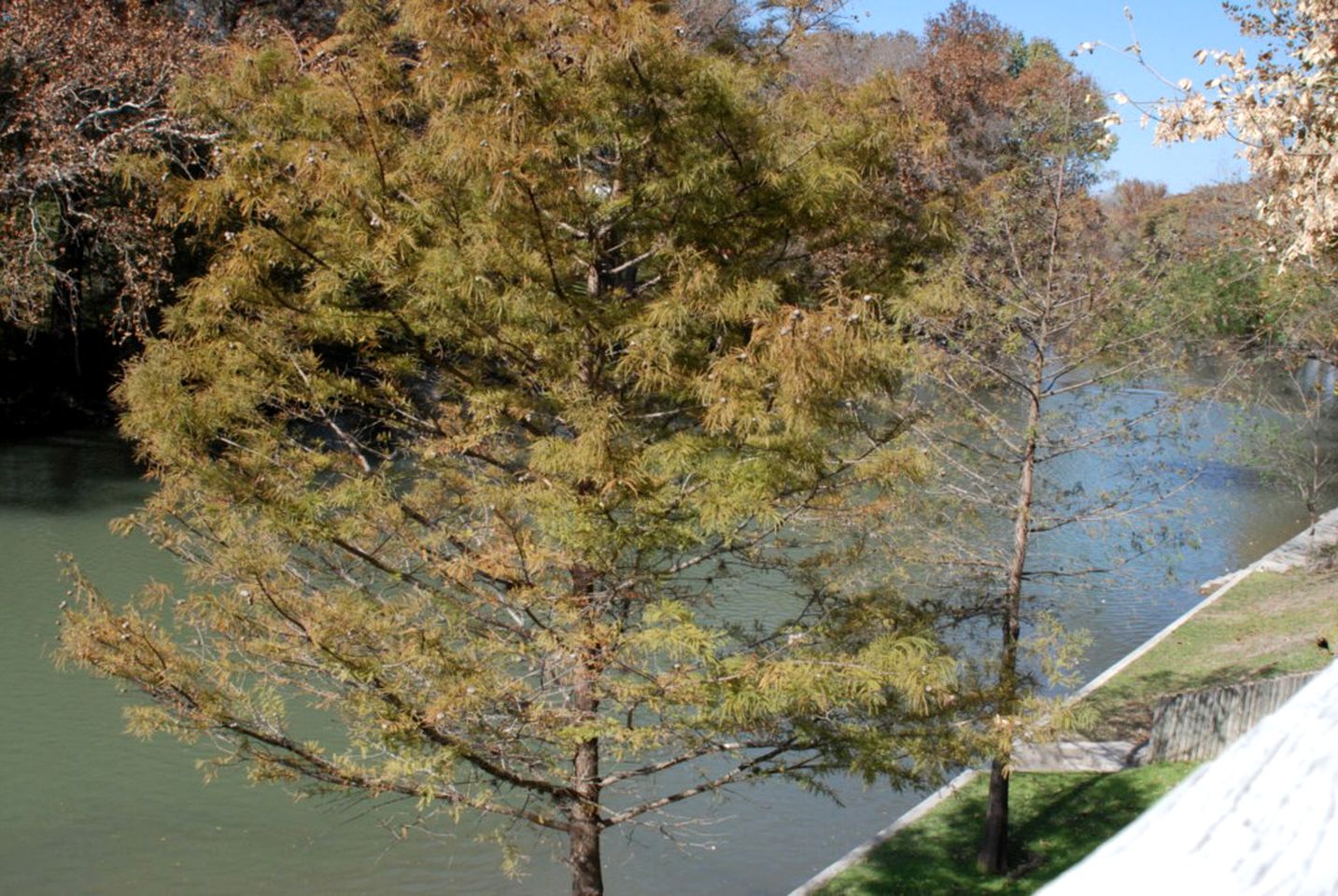 Riverfront Cabin Rental near Canyon Lake in New Braunfels, Texas