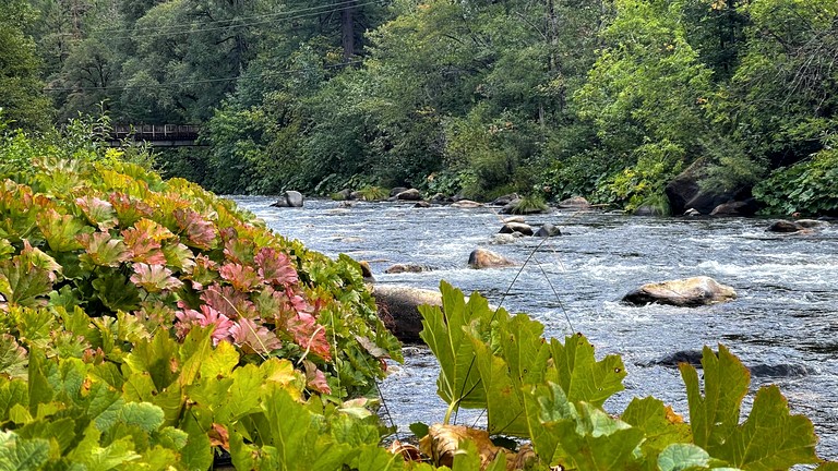 Cabins (United States of America, Dunsmuir, California)