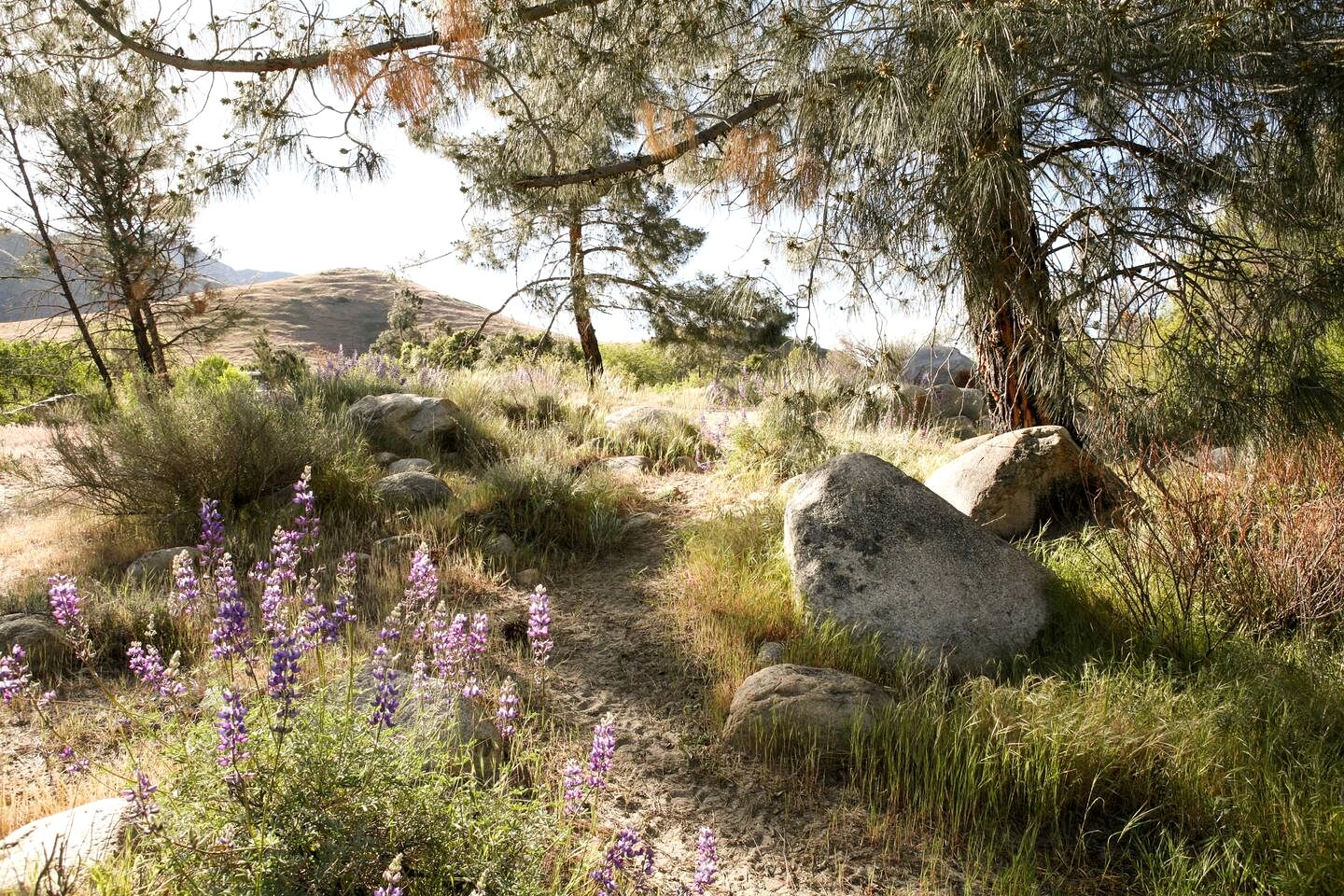 Charming Cabin Retreat on the Kern River with Hot Tub & River Access Near Kernville, CA