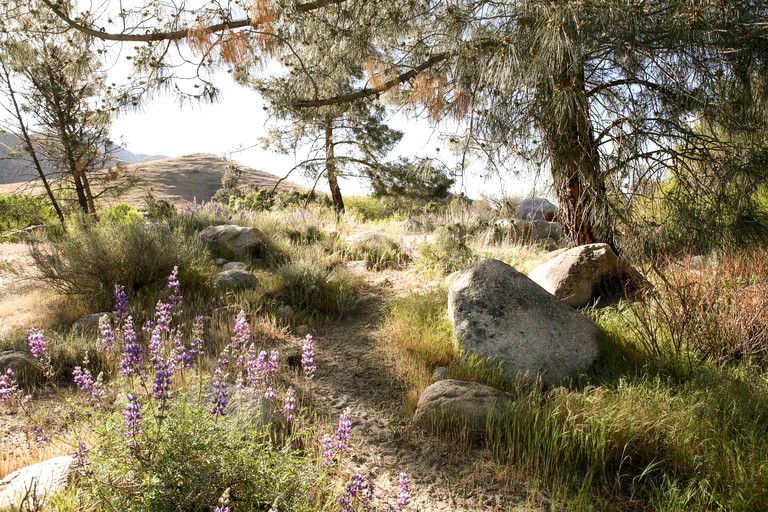 Cabins (United States of America, Kernville, California)