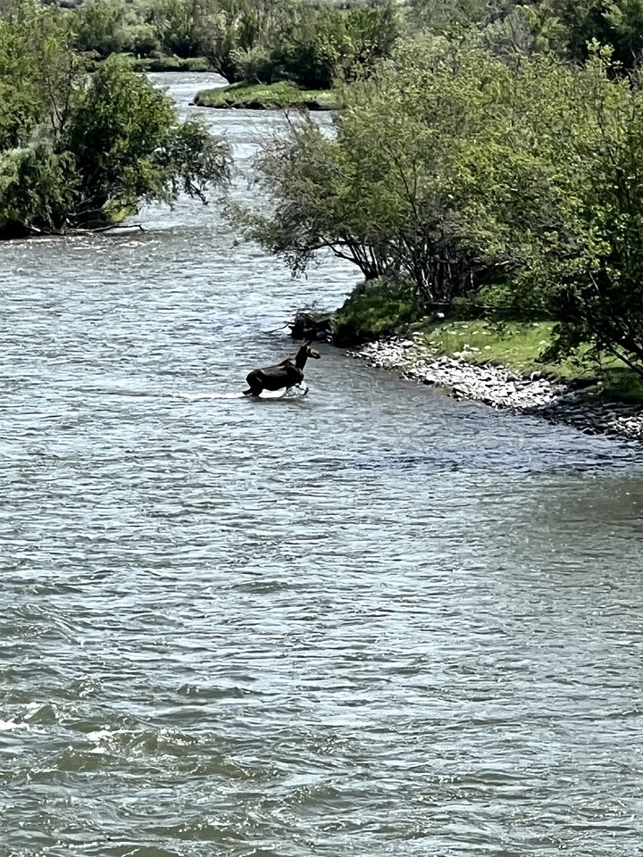 Charming Riverside Vacation Rental with Scenic Mountain Views near Ennis, Montana
