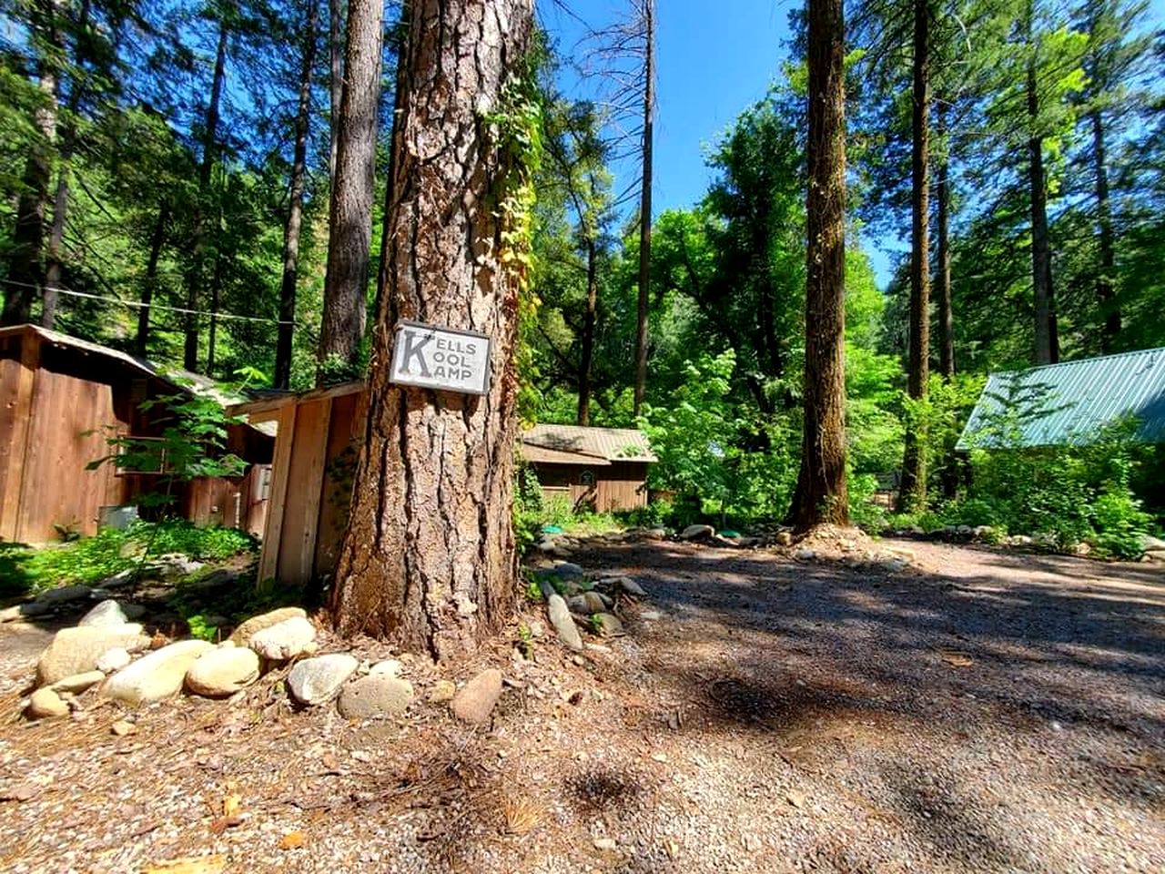 Beautiful Riverfront Cabin with Barbecue in Castella, California