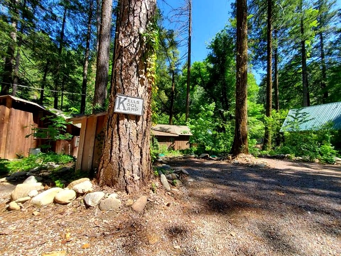 Cabins (United States of America, Castella, California)
