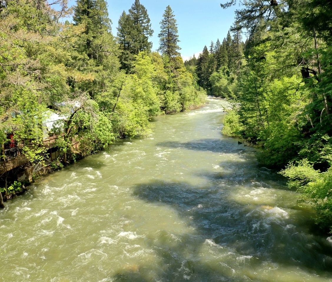 Beautiful Riverfront Cabin with Barbecue in Castella, California