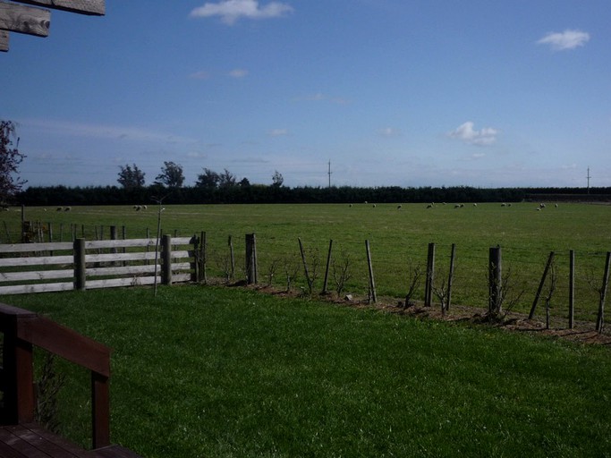 Cabins (Willowby, South Island, New Zealand)
