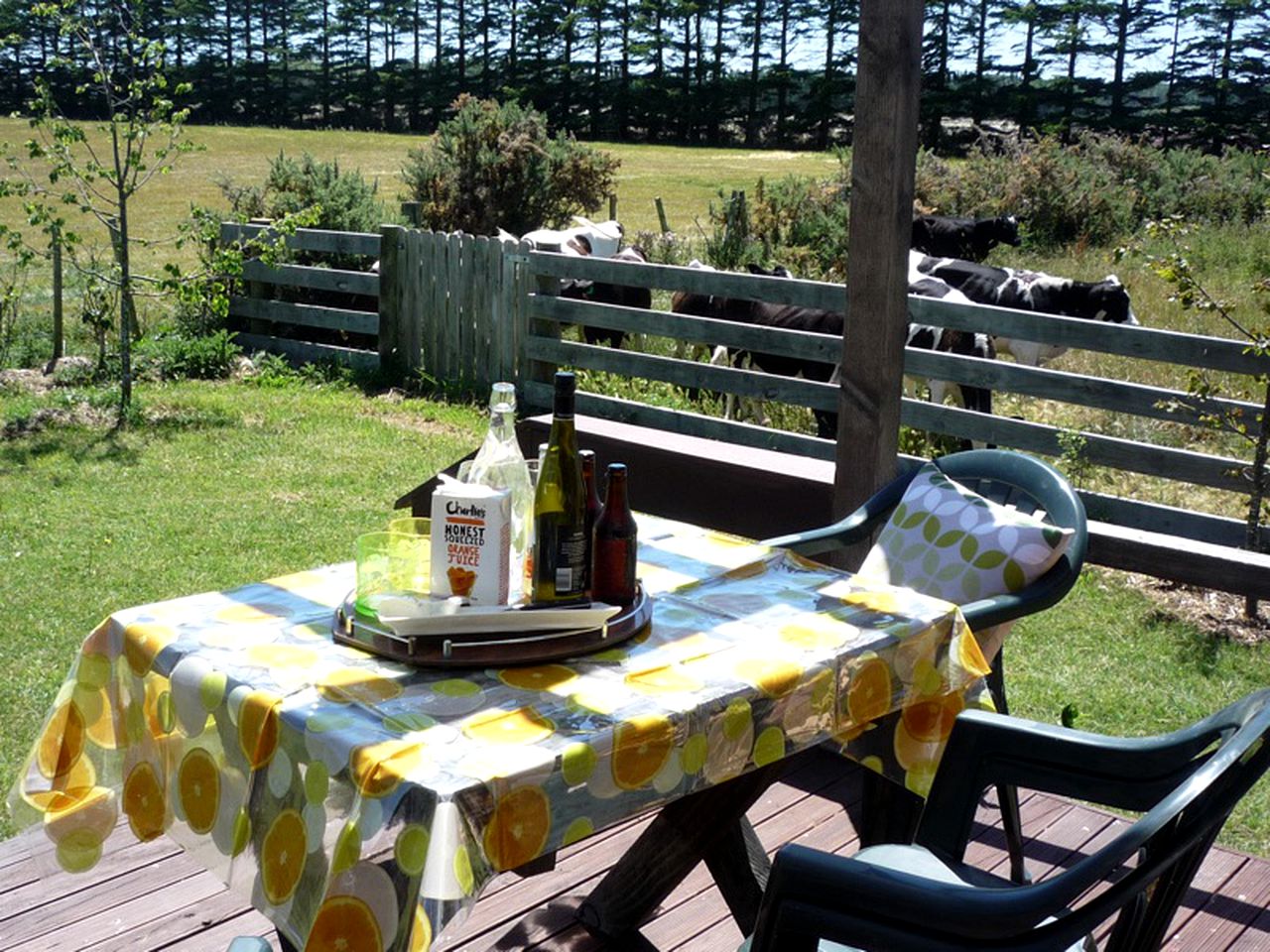 Country Cabin Rental with a Veranda in the Southern Alps, New Zealand