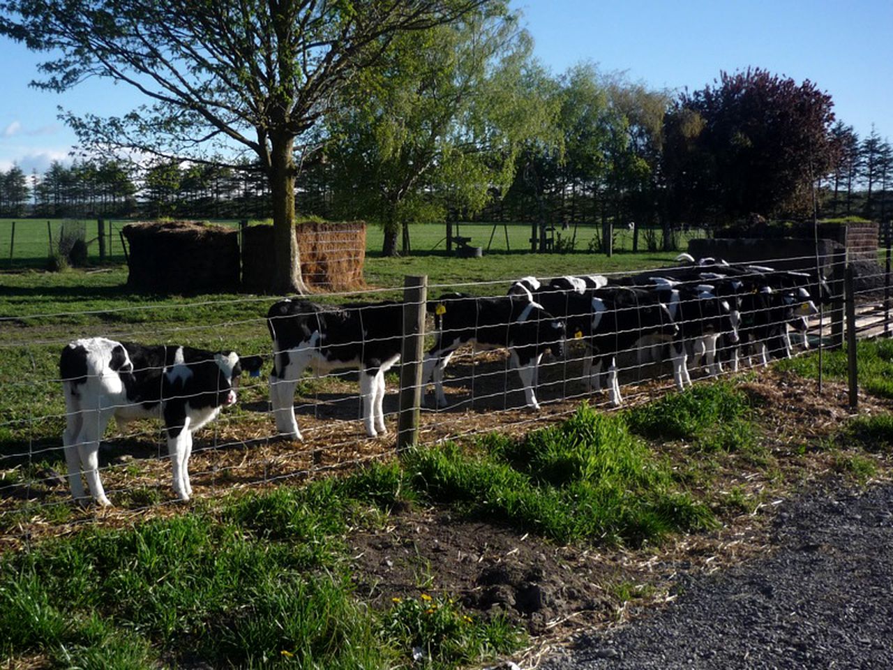 Country Cabin Rental with a Veranda in the Southern Alps, New Zealand