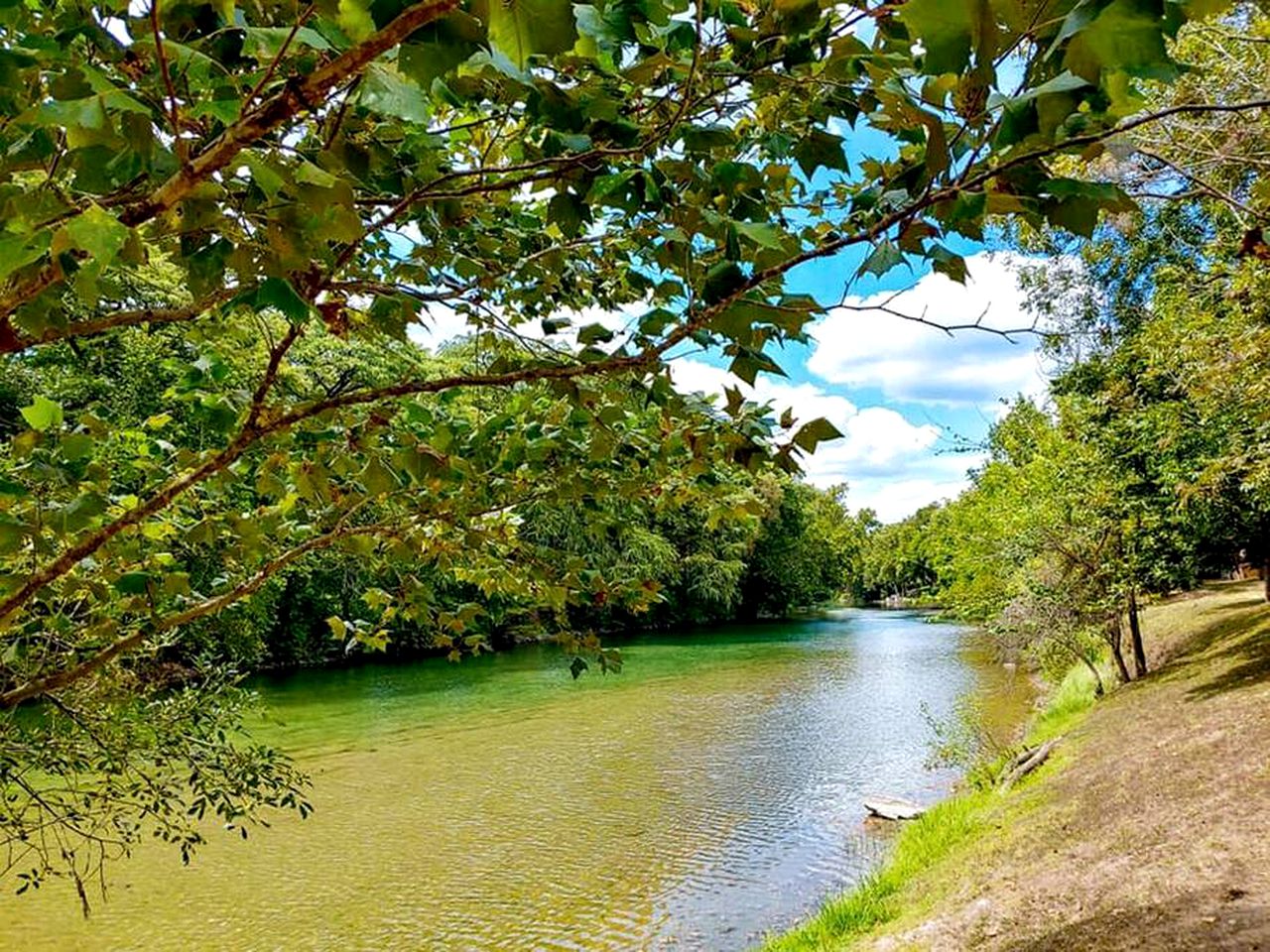Riverfront Cabin on the Guadalupe River, for Lovely Family Vacations in New Braunfels, Texas