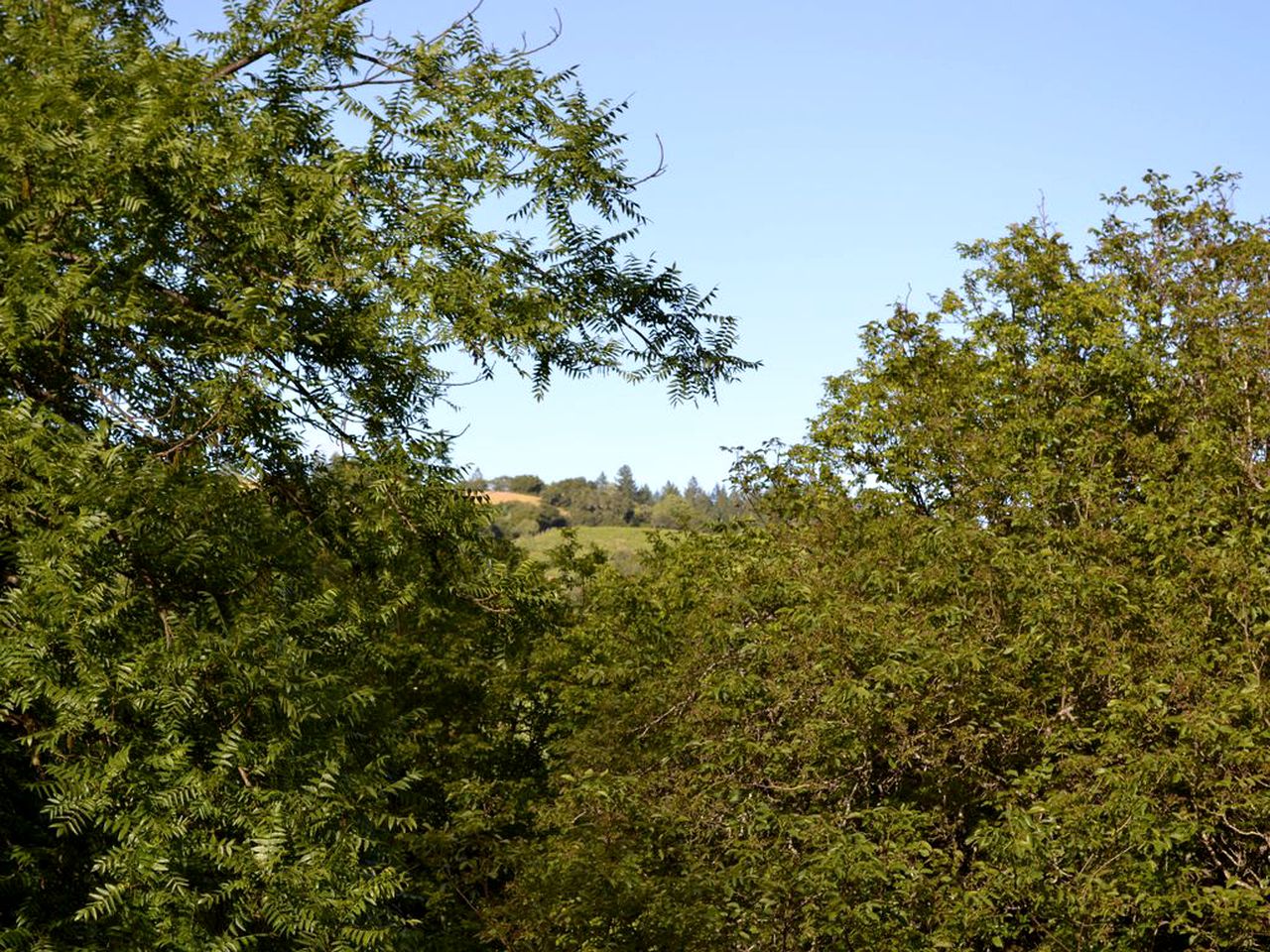 Beautiful Cottage Rental with Private River Beach on the Russian River, California