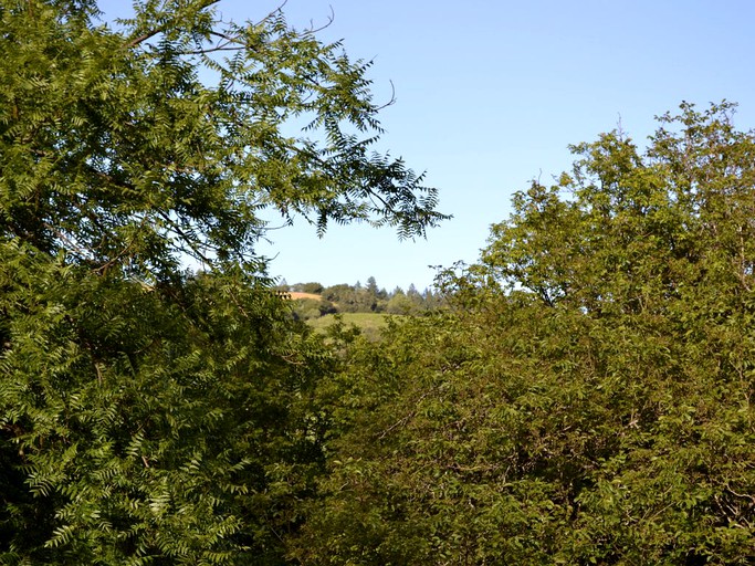 Vacation Rentals (Forestville, California, United States)