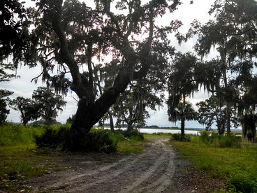 Gorgeous Riverfront Getaway Cabin with Private Dock on Saint Simons Island, Georgia photo 3