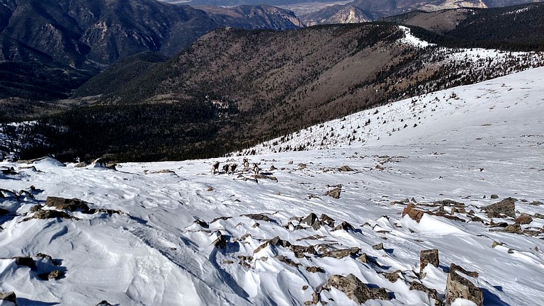 Cabins (Questa, New Mexico, United States)