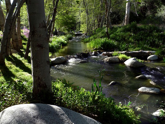 Log Cabins (Angelus Oaks, California, United States)