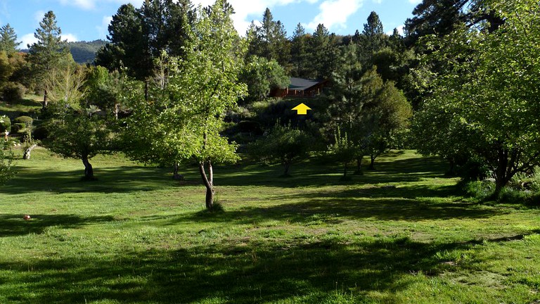 Log Cabins (Angelus Oaks, California, United States)