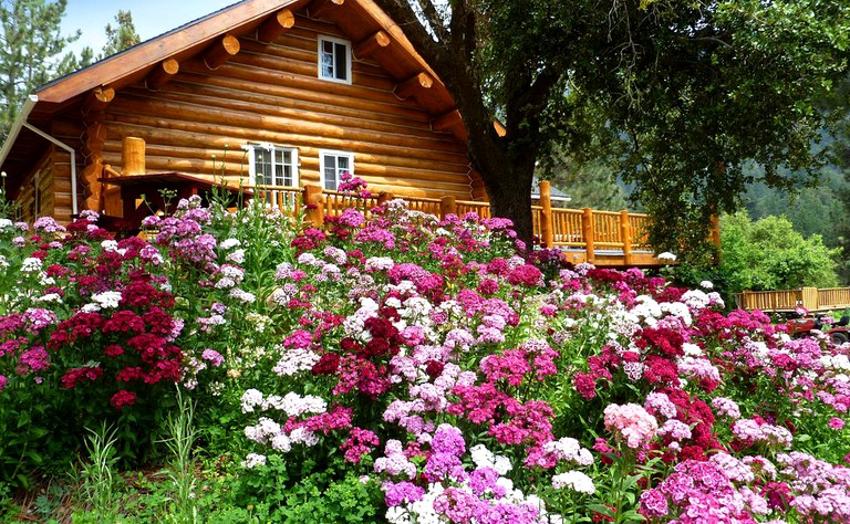 Log Cabins (Angelus Oaks, California, United States)