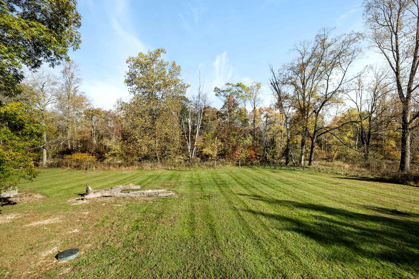 Creekfront Luminous Cottage Beautifully Design with Private Deck and Fire Pit in WV