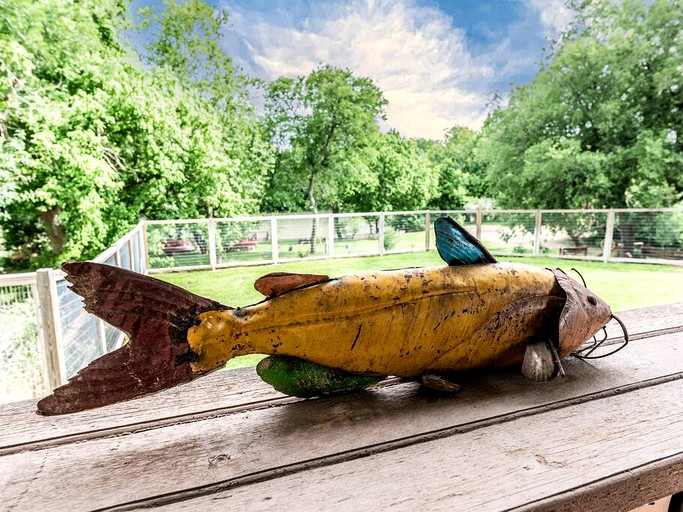 Vacation Rentals (United States of America, Bastrop , Texas)