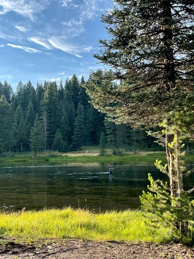 Cabins (United States of America, Island Park, Idaho)