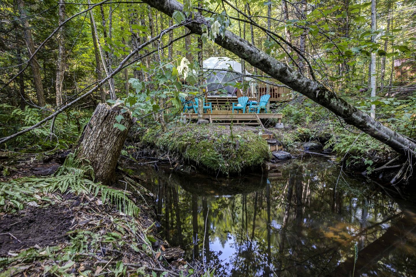 Incredible Dome Surrounded by Trees and Fantastic Vistas in Petawawa, Ontario
